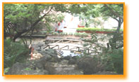 Around area