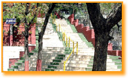 main steps